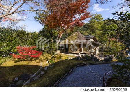 Autumn leaves in the precincts of Kodaiji Temple (Kyoto) in late autumn Kasatei Autumn leaves in the precincts of Kodaiji Temple (Kyoto) in late autumn Kasatei 86299066