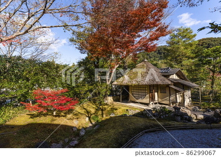 高台寺 (京都) 的秋葉在深秋 Kasatei 高台寺 (京都) 的秋葉在深秋 Kasatei 86299067