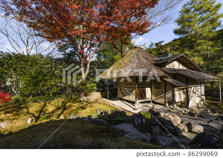 高台寺 (京都) 的秋葉在深秋 Kasatei 高台寺 (京都) 的秋葉在深秋 Kasatei 86299069