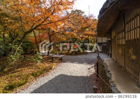 深秋的高台寺（京都）轄區 86299138