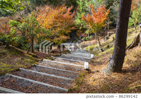 深秋的高台寺（京都）轄區 86299142