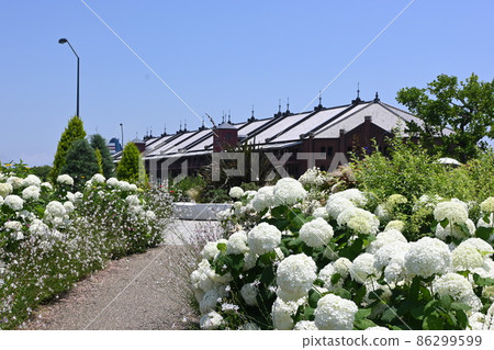 Red brick warehouse front hydrangea Red brick warehouse front hydrangea 86299599