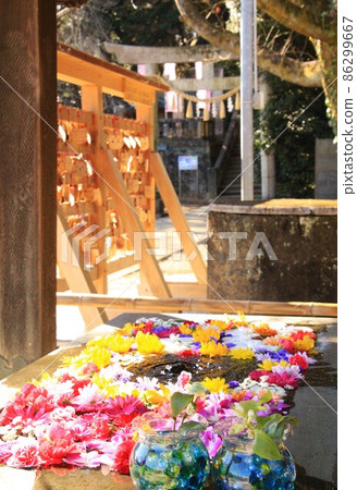 Scenery of a shrine with flowers 86299667