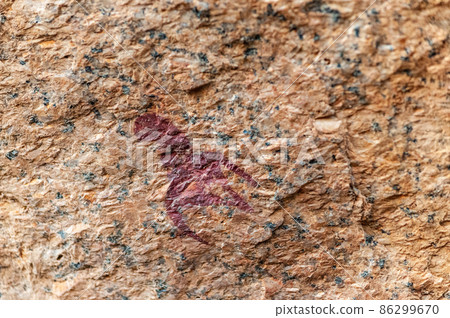 Rock art of the San People near Spitzkoppe 86299670