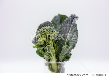 西蘭花和羽衣甘藍穿越阿萊塔 86300001