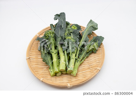 Broccoli and kale crossing Aletta Broccoli and kale crossing Aletta 86300004