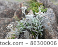 Hayaike Mineyama的Hayaike雪峰 86300006