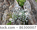 Hayaike Mineyama的Hayaike雪峰 86300007