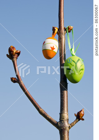easter eggs on conker branches 86300067
