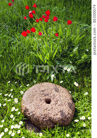 historical millstone in the garden historical millstone in the garden 86300074