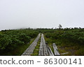 隼山 86300141