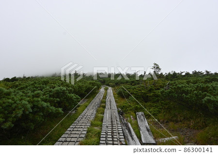 隼山 隼山 86300141