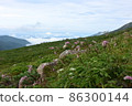 隼山 86300144
