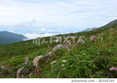 隼山 隼山 86300144