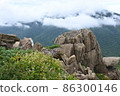 隼山 86300146