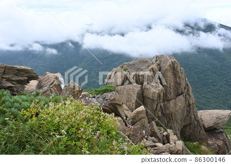隼山 86300146