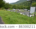 隼山 86300211