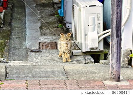 小巷裡的胡同 86300414