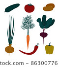 Vector set of fresh vegetables - onion, potato, beetroot, bell pepper, chili pepper, cucumber, tomato, carrot. Illustration in a flat cartoon style isolated on a white background. 86300776