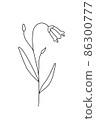 Contour coloring of the bell flower. A plant with a blue flower. Vector illustration on a white background. The icon is in a simple style. 86300777