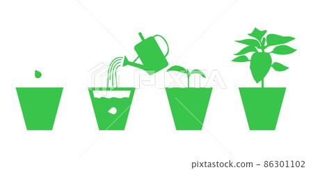 Growing peppers seedlings in pots set 86301102