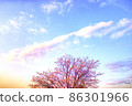 White clouds and sunrise trees in the refreshing morning sky 86301966