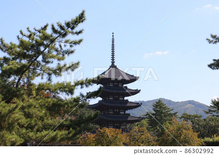 奈良縣興福寺五層寶塔 86302992