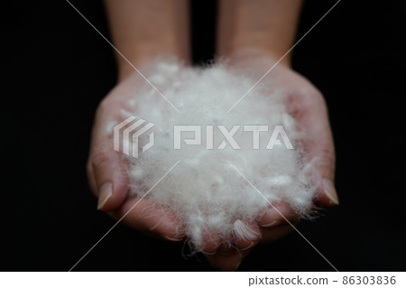 蓬鬆的水禽羽毛 86303836