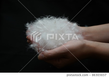 Fluffy waterfowl feathers 86303837
