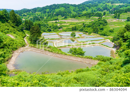 新潟縣長岡市山越市Tanada、Tanike 86304094