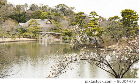 Winter in Sankeien, Honmoku, Naka-ku, Yokohama, Kanagawa 86304479