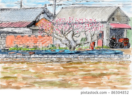 花園裡盛開的紅梅 86304852