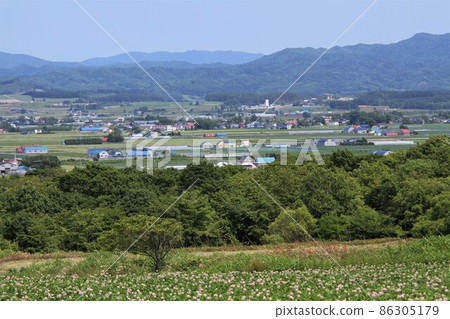 Early summer Hokkaido (Yuni Town, Hokkaido) 86305179
