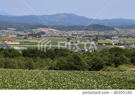 初夏北海道（北海道尤尼町） 86305180