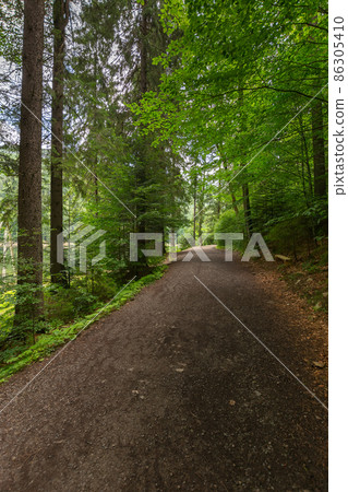 forest road through synevyr natural park. countryside summer landscape on a sunny day. green nature environment. popular travel destination forest road through synevyr natural park. countryside summer landscape on a sunny day. green nature environment. popular travel destination 86305410