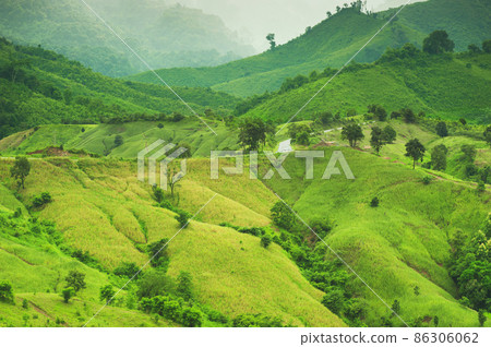 Mountain valley Natural greenery hill in spring background Mountain valley Natural greenery hill in spring background 86306062
