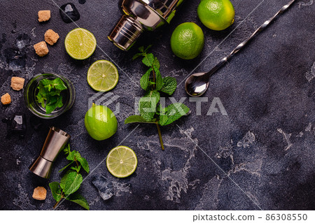 Fresh tasty ingrediens for delicious mojito cocktail Fresh tasty ingrediens for delicious mojito cocktail 86308550
