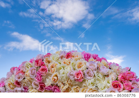 Rose and blue sky 86308776