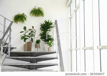 Different plants on stairs indoors. Home design idea 86308847
