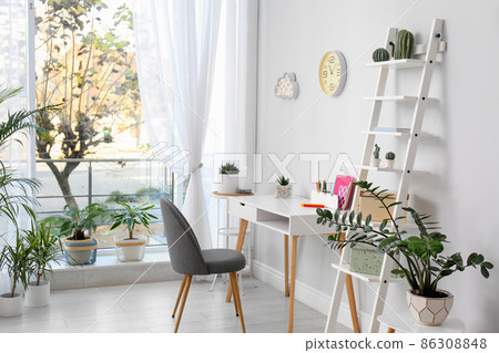 Stylish room interior with beautiful plants. Home design idea 86308848