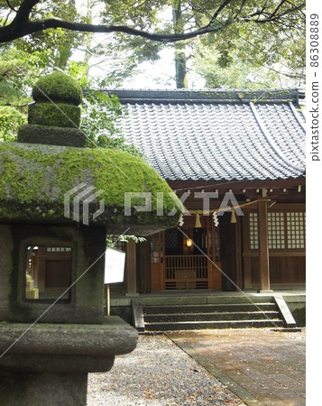 青苔離開燈籠 青苔離開燈籠 86308889