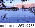 Winter evening. Snow field with small bushes. Pink light on the cloud. 86310533