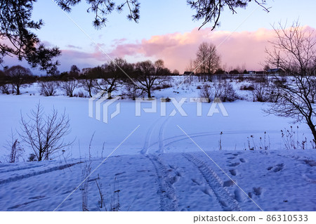 Winter evening. Snow field with small bushes. Pink light on the cloud. Winter evening. Snow field with small bushes. Pink light on the cloud. 86310533