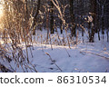Dry grass in a snowdrift. Sunlight from the side. 86310534
