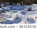 Winter view. Dry grass from under the snow. Field covered with snow. Russia 86310536