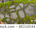 Old concrete wall covered with moss. Rough texture background 86310544