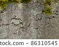 Old wall of crumbling concrete covered with moss. Stone background for design 86310545