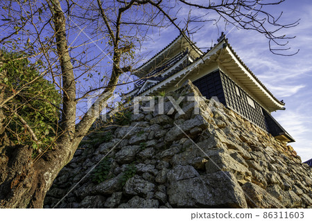 靜岡縣濱松市濱松城天守閣 靜岡縣濱松市濱松城天守閣 86311603