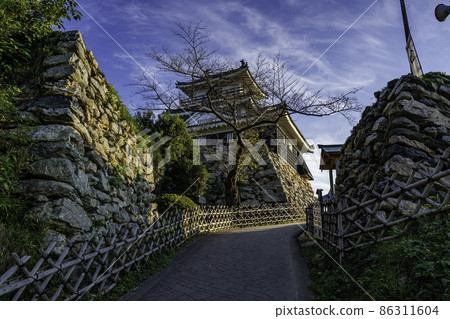 靜岡縣濱松市濱松城天守閣 靜岡縣濱松市濱松城天守閣 86311604