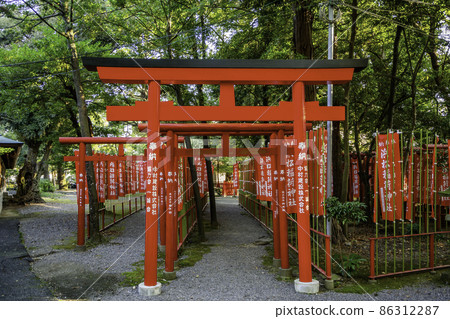 Hamamatsu Hachimangu Shrine Hamamatsu Inari Shrine Hamamatsu City, Shizuoka Prefecture 86312287